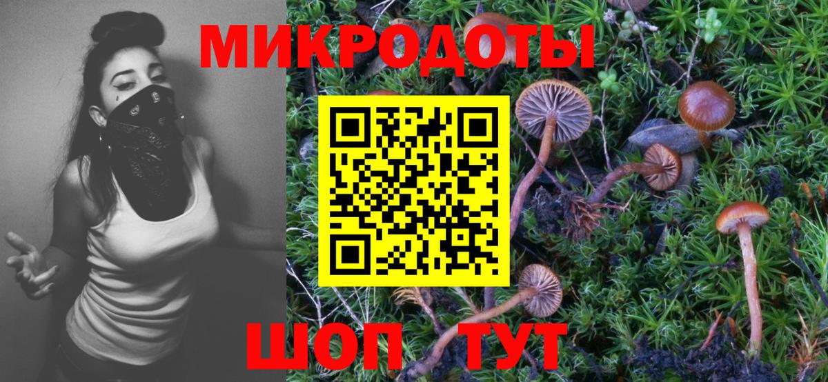 Галлюциногенные грибы прущие грибы Сланцы